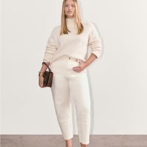 Everlane the utility barrel pant